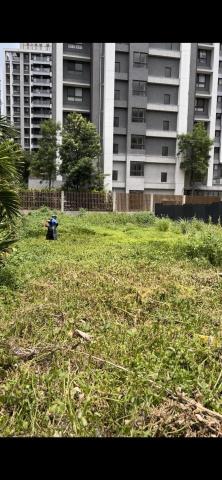 撲草人 - 除草過程