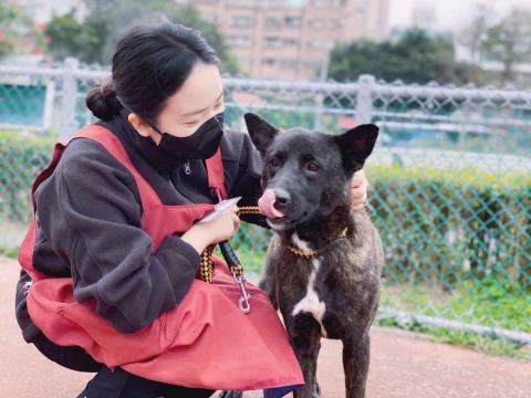 梁芷堉 - 板橋動物之家