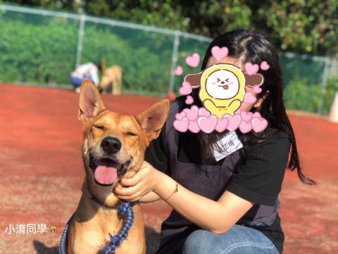 梁芷堉 - 板橋動物之家