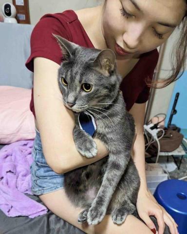 寵咪拾光貓咪沙龍-精緻SPA - 香噴噴的網帥