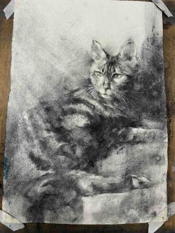 黃苡萱 -  黃苡萱 -