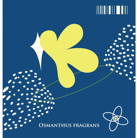 Hee’D - 小眾品牌改造周邊(紙袋