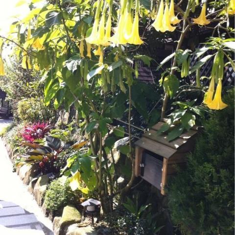 提供183天稅服務的專家詹溫蒂