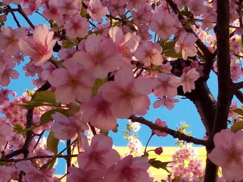 提供acg漫畫網服務的專家Flynn Lin