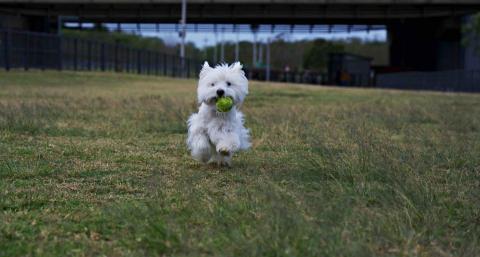 森嵐健一影像創作工作坊 - 