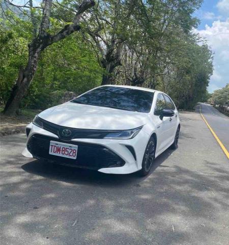 多元油電新車🚗機場接送/商務接駁 - 