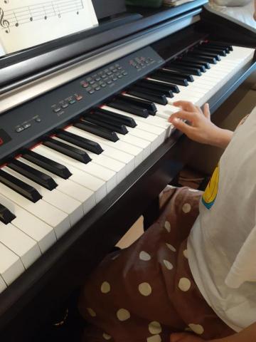 晨曦音樂工作室 - 我能自己彈