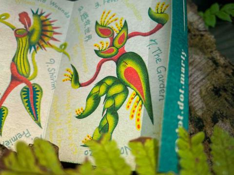 Ray - 2023 卡帶視覺設計