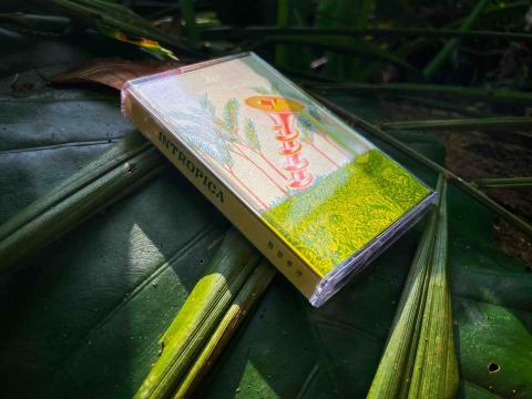 Ray - 2023 卡帶視覺設計