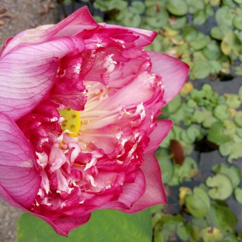 提供cad2d服務的專家謝爾