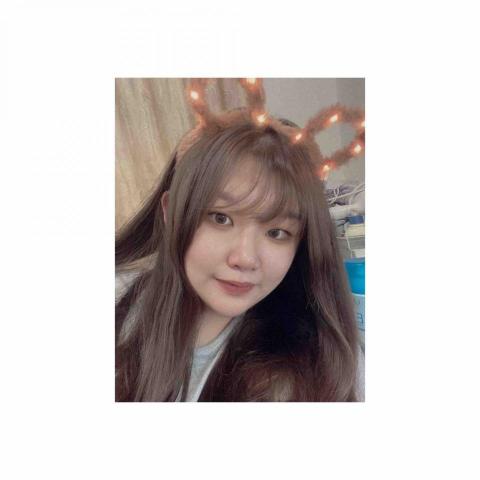 提供寄養服務的專家胖橘貓