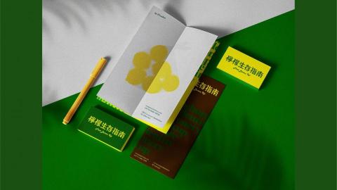 Ginger Lin - CIS 設計 Ginger Lin - CIS 設計