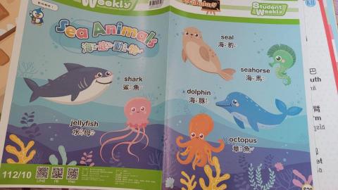 莊紅玉（中英越編譯及翻譯） - 