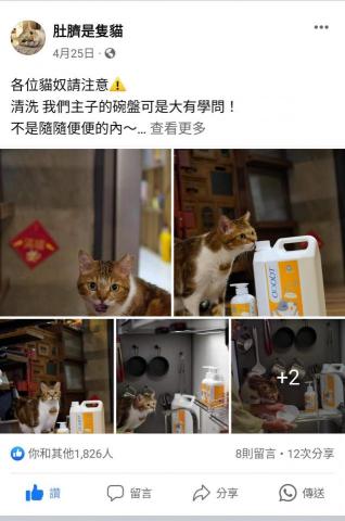 S.B行銷企劃 - kol洽談業配