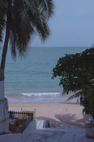 張聿緯 - 作品範例