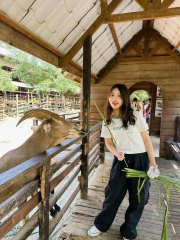 提供數學題目高中服務的專家牛加芯