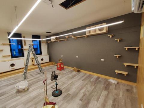 AURA HOME REPAIR STUDIO - 貓牆安裝 AURA HOME REPAIR STUDIO - 貓牆安裝