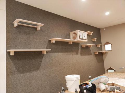 AURA HOME REPAIR STUDIO - 貓牆安裝 AURA HOME REPAIR STUDIO - 貓牆安裝