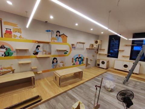 AURA HOME REPAIR STUDIO - 貓牆安裝 AURA HOME REPAIR STUDIO - 貓牆安裝