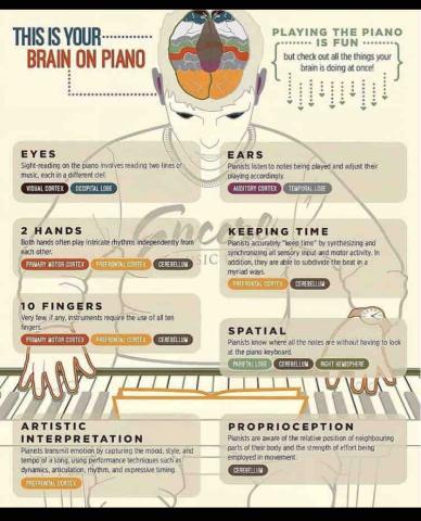 二重紫藤音樂_華語教室 -  二重紫藤音樂_華語教室 -