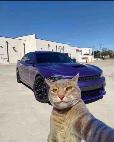 提供一直以來服務的專家林健勛