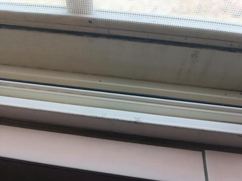 小不工作室 -  小不工作室 -
