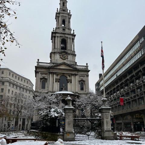 提供訴訟服務的專家Ting Li