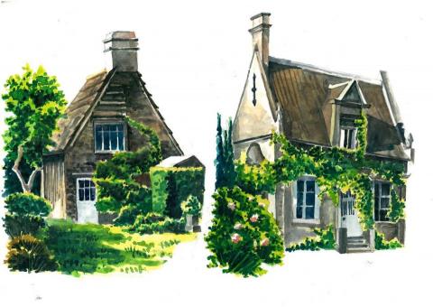 畫畫兒 - 水彩插畫