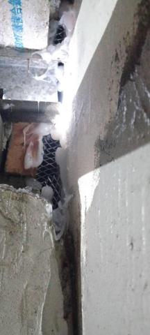 嘉澤滅鼠封堵防治工程 - 老鼠鐵皮進室內天花板孔洞封堵 嘉澤滅鼠封堵防治工程 - 老鼠鐵皮進室內天花板孔洞封堵