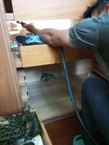 嘉澤滅鼠封堵防治工程 - 白蟻施工中固定衣櫃裝潢已被白蟻築巢吃爛有活蟻,馬上施工鑽孔灌藥才能避免日後木作裝潢被白蟻吃到腐爛破壞了,施工後德國感染型藥劑可滅巢把母后殺掉後,讓母后無法在傳宗接代躲在家裏木頭內偷偷吃家具吃飽。 嘉澤滅鼠封堵防治工程 - 白蟻施工中固定衣櫃裝潢已被白蟻築巢吃爛有活蟻,馬上施工鑽孔灌藥才能避免日後木作裝潢被白蟻吃到腐爛破壞了,施工後德國感染型藥劑可滅巢把母后殺掉後,讓母后無法在傳宗接代躲在家裏木頭內偷偷吃家具吃飽。