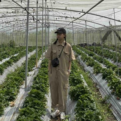 提供高雄會計職缺服務的專家許鍶訢