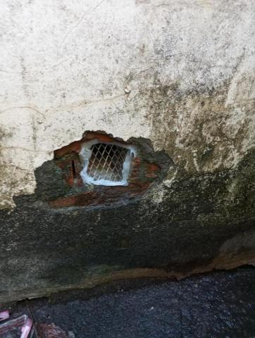 嘉澤滅鼠封堵防治工程 - 溝鼠進入廚房孔洞鐵網封堵 嘉澤滅鼠封堵防治工程 - 溝鼠進入廚房孔洞鐵網封堵