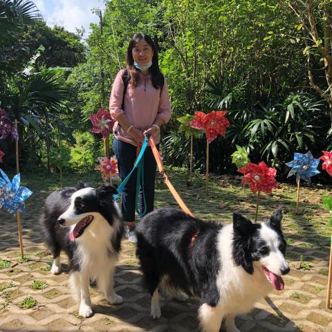 提供保母服務的專家邊邊媽