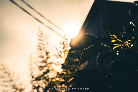 TIM·PHOTO 旅遊潛水 - 