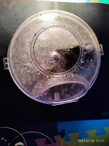 林琬儒 - 除塵蟎（床墊）