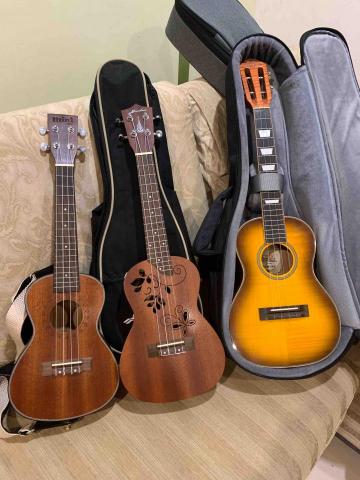 二重紫藤音樂_華語教室 -  二重紫藤音樂_華語教室 -