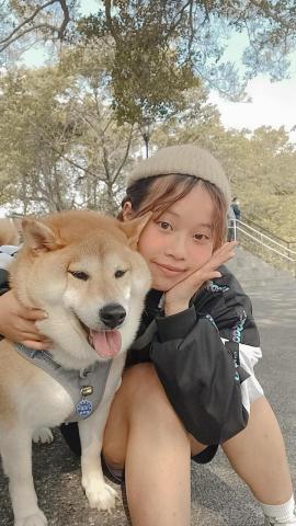 提供ppt大綱服務的專家林子欣