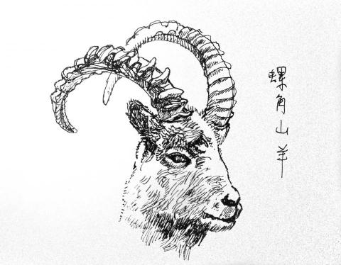 Summer＿ART - 速寫