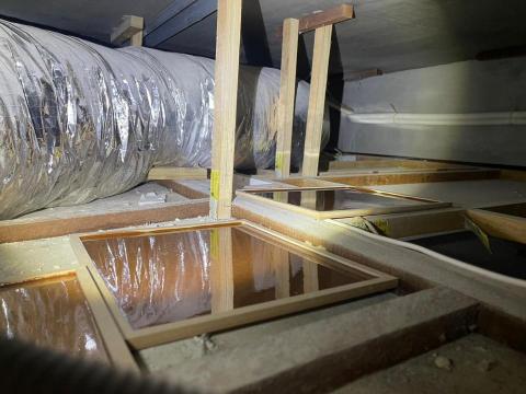 富士除蟲實業有限公司 - 黏鼠板捕鼠陷阱放置