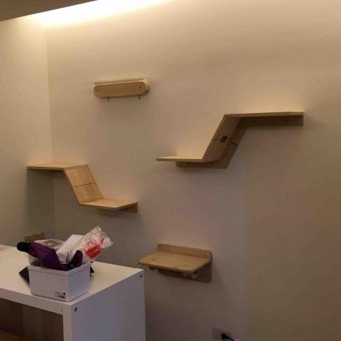 RH工作室 - 貓跳台-2 RH工作室 - 貓跳台-2