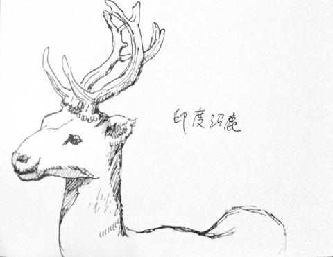 Summer＿ART - 速寫