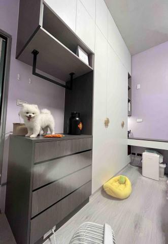 鼎諾空間工作室 - ㄞ