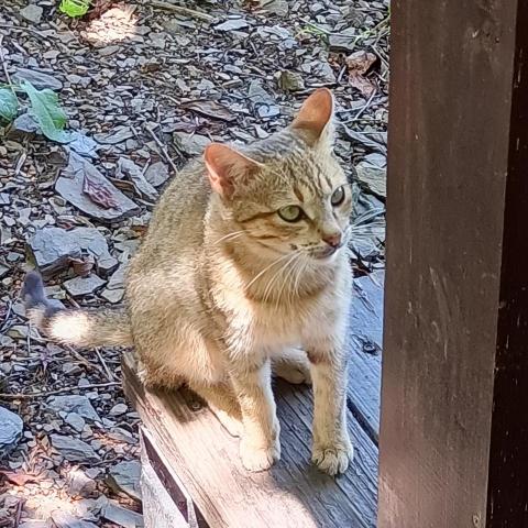 提供dance168學費服務的專家棒棒