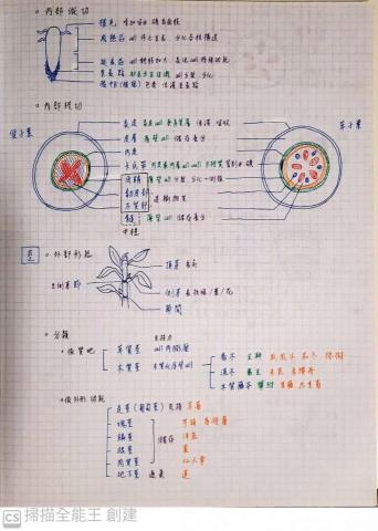 許智禕 - 生物筆記(選生二 植物構造) 許智禕 - 生物筆記(選生二 植物構造)
