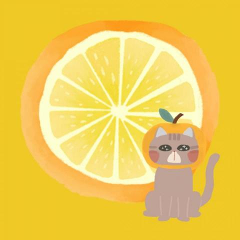 Cozysun_Studio - 柳橙汁貓貓