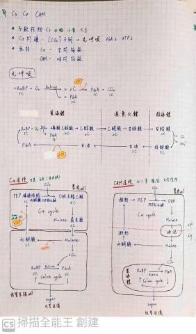 許智禕 - 生物筆記(選修補充 C3.C4.CAM植物) 許智禕 - 生物筆記(選修補充 C3.C4.CAM植物)
