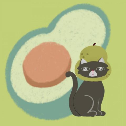 Cozysun_Studio - 酪梨貓貓