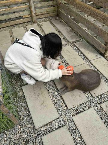 提供bigdata應用服務的專家mao