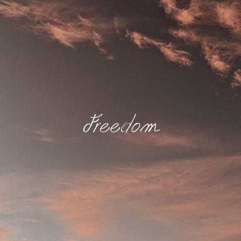 提供視頻剪輯軟件服務的專家CHIA -YI YANG