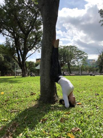 Rumi Dance - 瑜珈練習